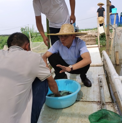 九江市農(nóng)業(yè)科學(xué)院赴廣東考察學(xué)習(xí)飼料鱖魚(yú)養(yǎng)殖及工廠化循環(huán)水養(yǎng)殖技術(shù)
